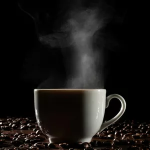 Seu guia definitivo de comunicação e persuasão no mundo. <span class="botaosaibamais">Saiba mais</span >